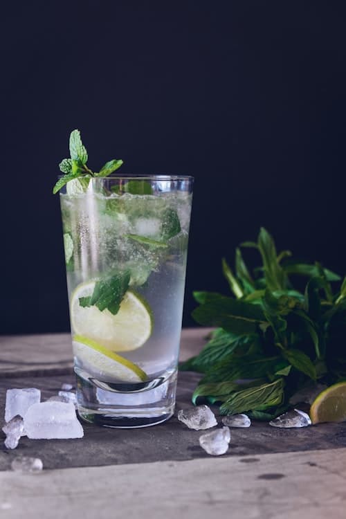 Gin Tônica Imperial